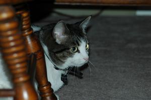 DSC_0211