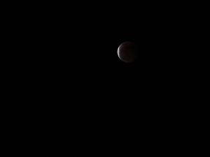 DSC00051