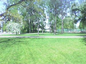 Image103