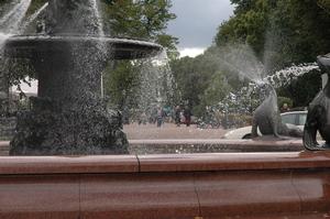 DSC_0438