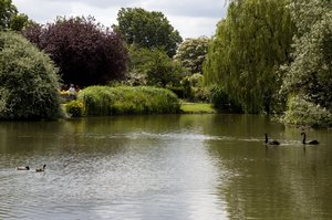 DSC_1985