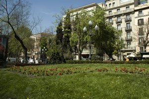 DSC_1887