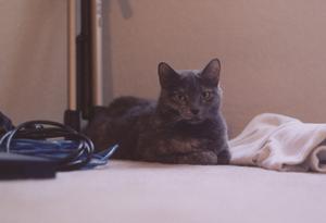 Pixel_0503