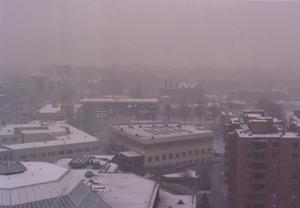 TREsnow1_0503