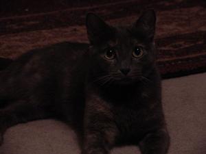 DSC00019