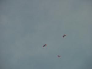 DSC00030