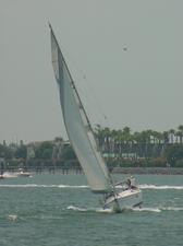 BirdAndBoat072703