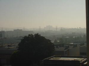 DSC00007