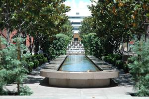 DSC_0071