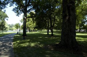 DSC_1315