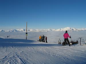 IMG_0294