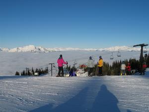 IMG_0295