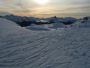 IMG_0308