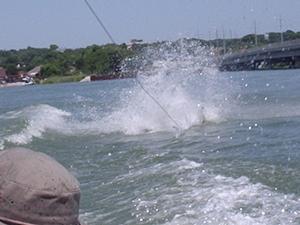 P7030051